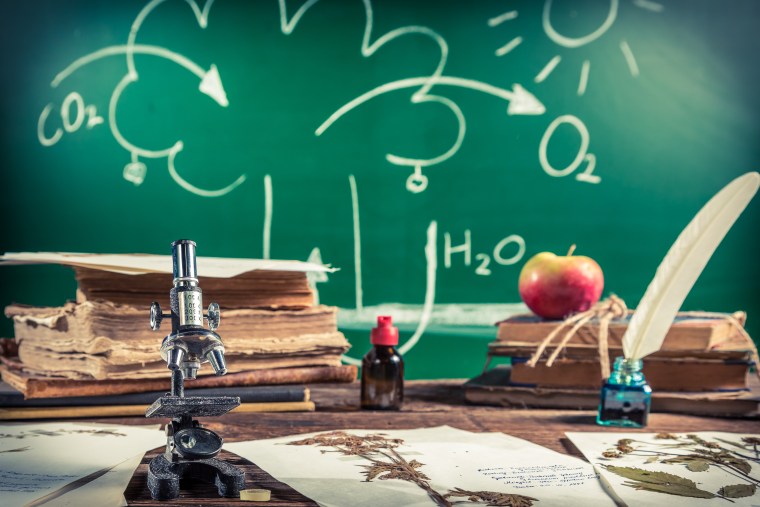 9th grade algebra and biology tutoring class at ABCMath in Flushing, Queens